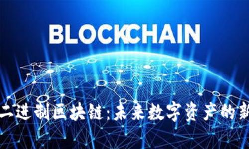 揭秘二进制区块链：未来数字资产的新篇章