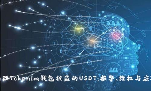 如何处理Tokenim钱包被盗的USDT：报警、维权与应对措施