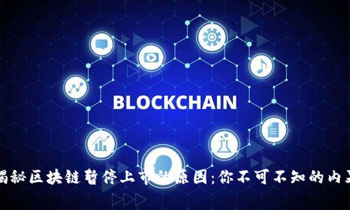 揭秘区块链暂停上市的原因：你不可不知的内幕