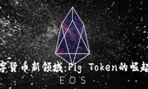 探索数字货币新领域：Pig Token的崛起与影响