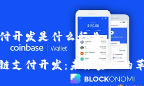 区块链支付开发是什么行业

探索区块链支付开发：未来金融的革命性行业