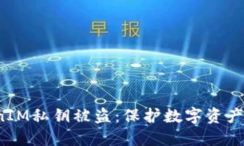  如何防止TokenIM私钥被盗：保护数字资产安全的实用指南