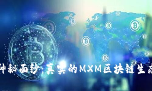 揭开神秘面纱：真实的MXM区块链生态系统