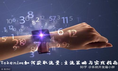 Tokenim如何获取流量：主流策略与实践指南