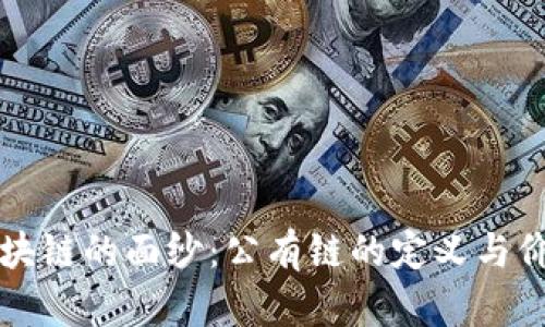 揭开区块链的面纱：公有链的定义与价值解析