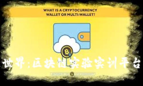 探索区块链世界：区块链实验实训平台的深度解析