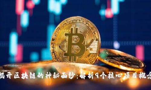 揭开区块链的神秘面纱：解析9个核心项目概念
