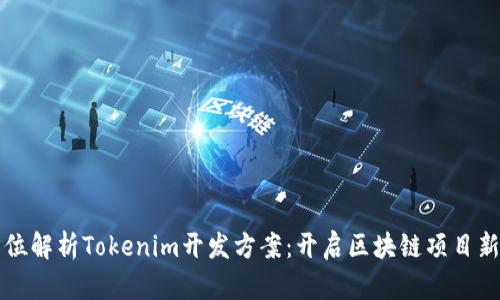 全方位解析Tokenim开发方案：开启区块链项目新纪元