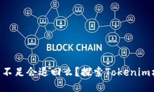 : Tokenim能量不足会退回么？探索Tokenim机制与能量管理