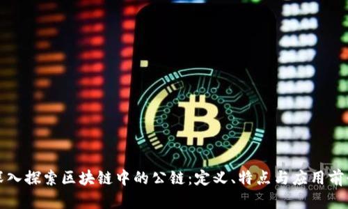 深入探索区块链中的公链：定义、特点与应用前景
