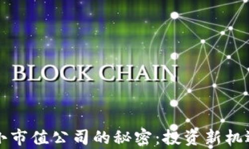 揭开区块链小市值公司的秘密:投资新机遇与风险分析