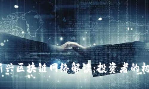 2023年新兴区块链网络解读：投资者的机遇与挑战