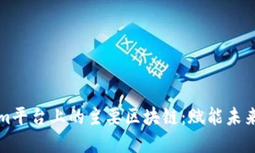 探索Tokenim平台上的主要区块链：赋能未来的数字资产