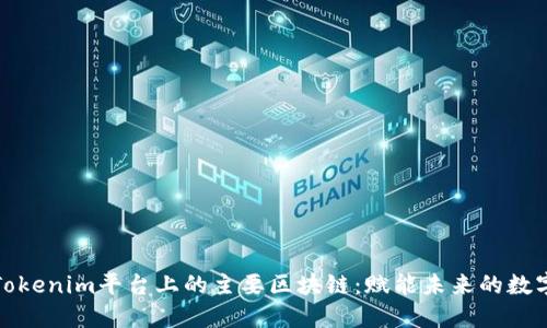 探索Tokenim平台上的主要区块链：赋能未来的数字资产
