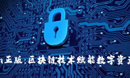 Tokenim正版：区块链技术赋能数字资产的未来