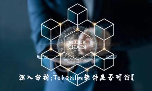 深入分析：Tokenim软件是否可信？