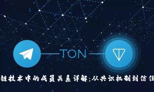 区块链技术中的成员关系详解：从共识机制到信任构建
