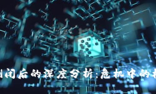 Tokenim倒闭后的深度分析：危机中的机遇与反思