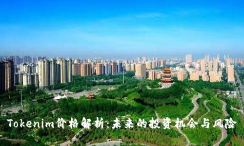 Tokenim价格解析：未来的投资机会与风险
