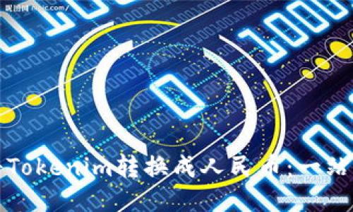 如何将Tokenim转换成人民币：一站式指南