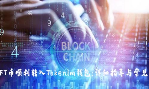 如何将NFT币顺利转入Tokenim钱包：详细指导与常见问题解答