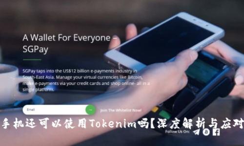 被盗手机还可以使用Tokenim吗？深度解析与应对措施