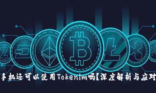 被盗手机还可以使用Tokenim吗？深度解析与应对措施
