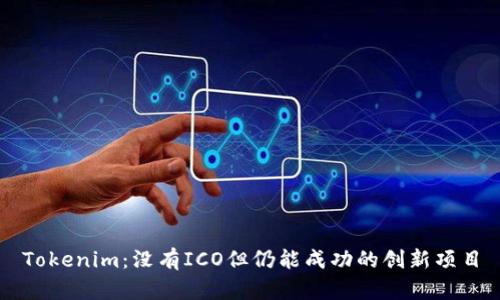 Tokenim：没有ICO但仍能成功的创新项目