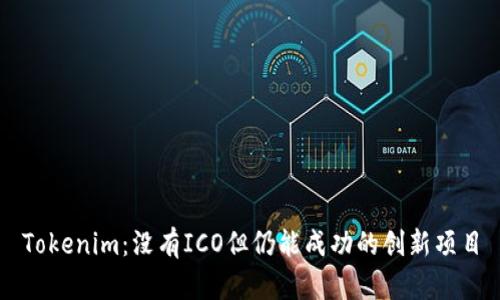 Tokenim：没有ICO但仍能成功的创新项目
