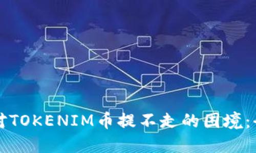 如何应对TOKENIM币提不走的困境：全面指南