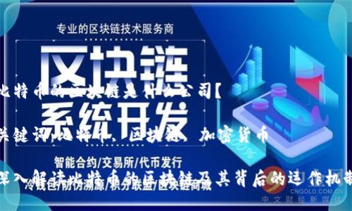 比特币的区块链是什么公司？

关键词：比特币, 区块链, 加密货币

深入解读比特币的区块链及其背后的运作机制