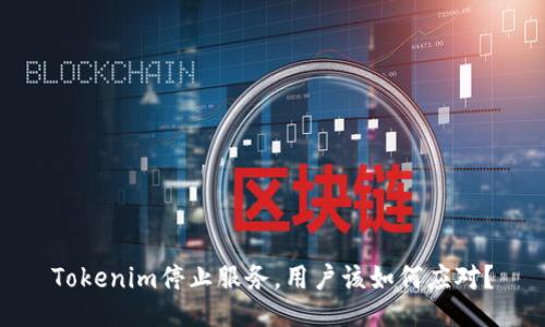 Tokenim停止服务，用户该如何应对？