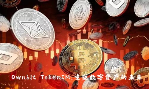  Ownbit TokenIM：重塑数字资产的未来