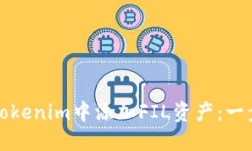 如何在Tokenim中添加FIL资产：一步步指南