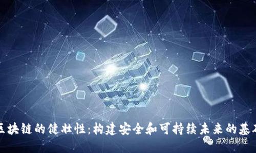 区块链的健壮性：构建安全和可持续未来的基础