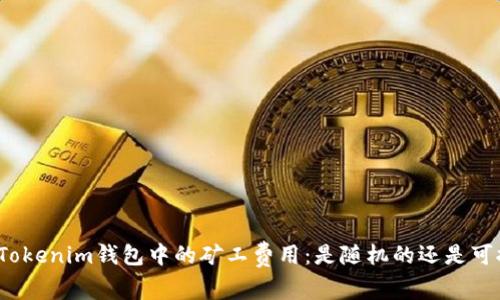 探讨Tokenim钱包中的矿工费用：是随机的还是可控的？