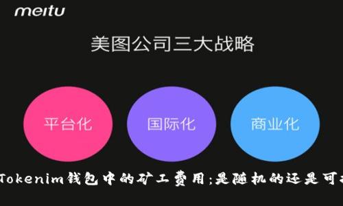 探讨Tokenim钱包中的矿工费用：是随机的还是可控的？