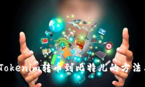  探索Tokenim转币到比特儿的方法与步骤