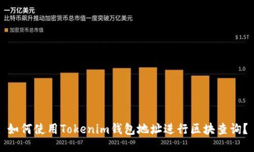 如何使用Tokenim钱包地址进行区块查询？