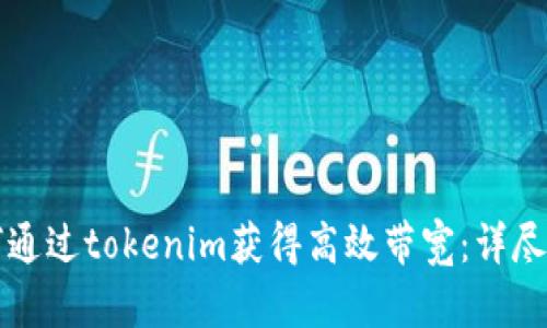 如何通过tokenim获得高效带宽：详尽指南
