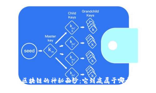 揭开区块链的神秘面纱：它到底属于哪个板块？