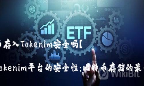 比特币存入Tokenim安全吗？

探索Tokenim平台的安全性：比特币存储的最佳实践