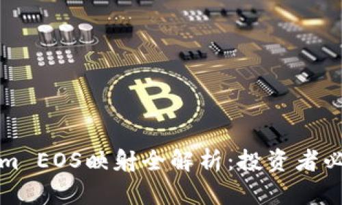 Tokenim EOS映射全解析：投资者必备指南