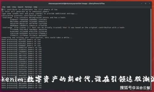 Tokenim：数字资产的新时代，谁在引领这股潮流？
