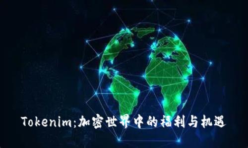 Tokenim：加密世界中的福利与机遇