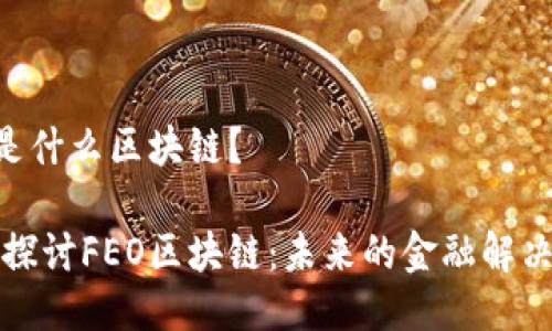FEO是什么区块链？

深入探讨FEO区块链：未来的金融解决方案